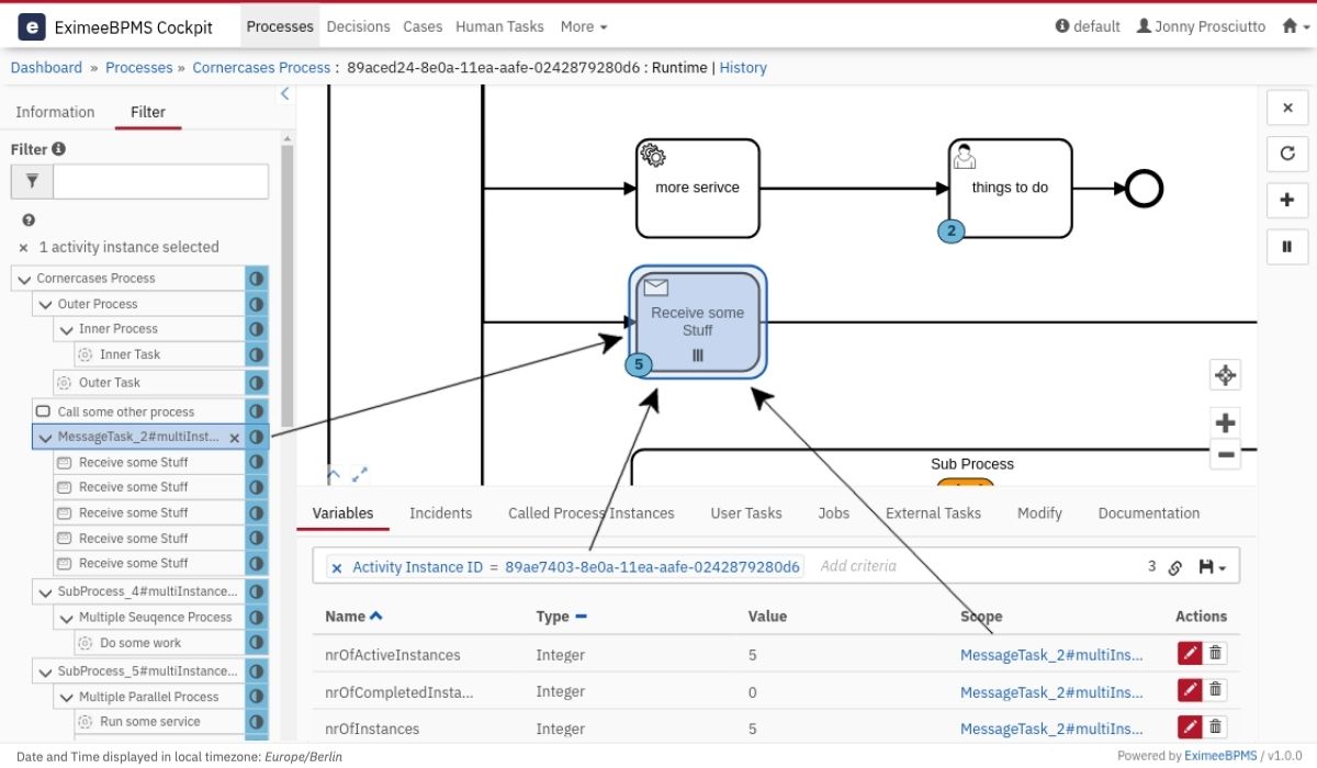 Process Instance View
