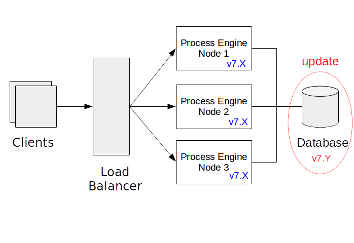 Update the Database Schema